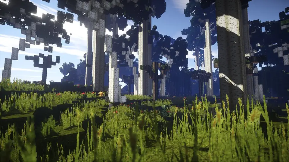 Minecraft valley of trees rendered with shaders