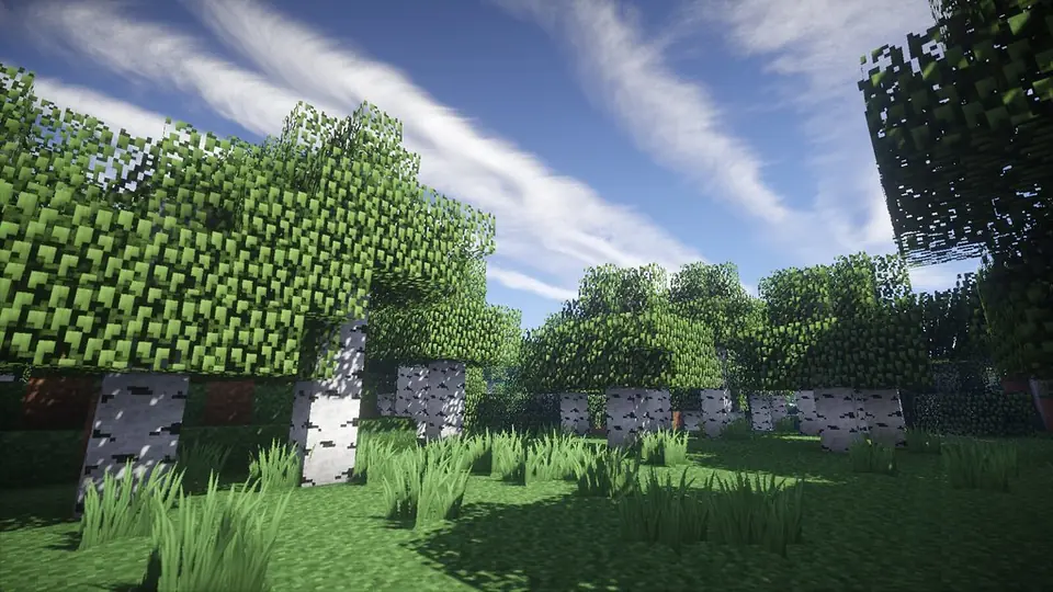 Sunlit Minecraft forest clearing rendered with shaders